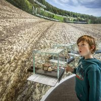 Vue d'un enfant dans l'exposition du CIP La Villa, musée d'archéologie à Dehlingen, devant un panneau présentant le début du travail archéologique dans la région : les premières pièces retrouvées durant le labours